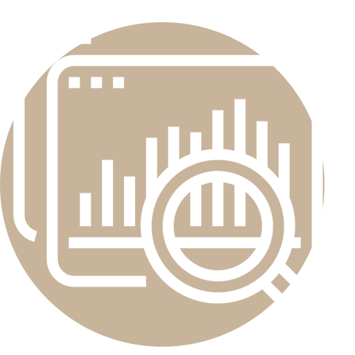 Data analysis icon