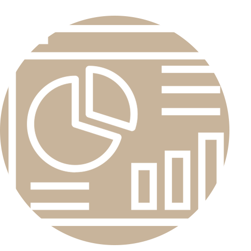 Marketing strategy icon
