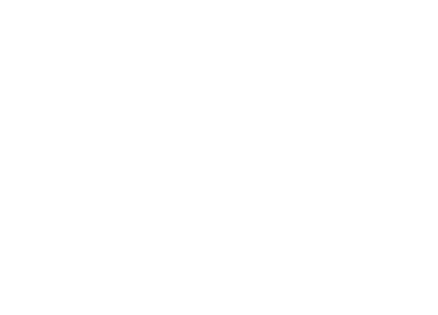 BOMAD Strategy business consultancy logo white